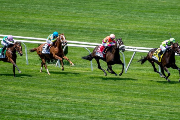 Horse Racing Betting & Horse Racing Odds